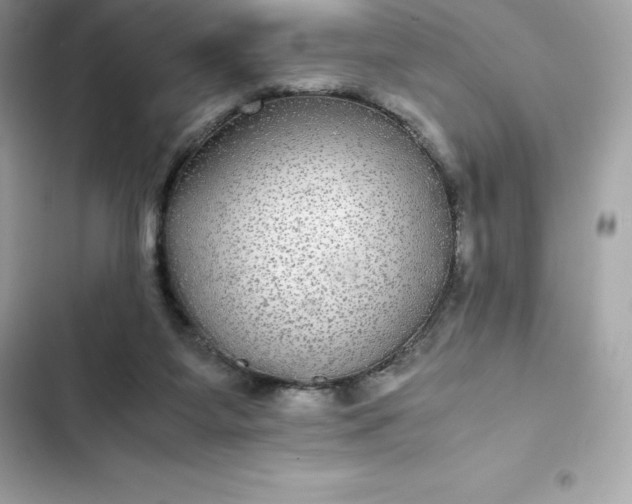 X0000102380115200808151906