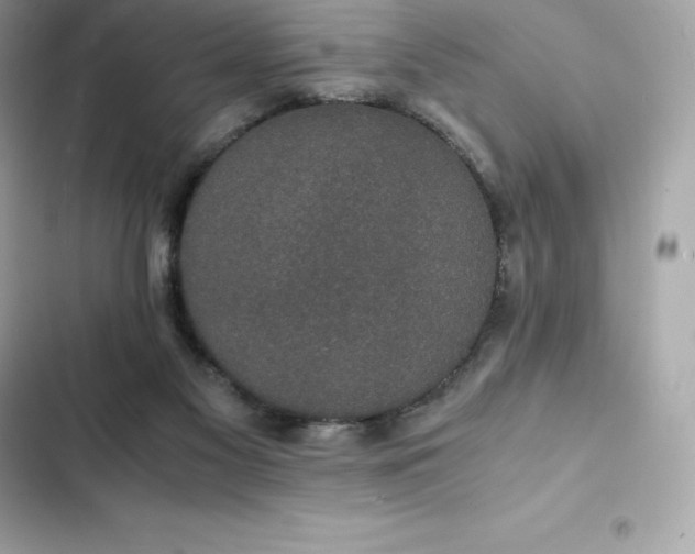 X0000102380117200808151906