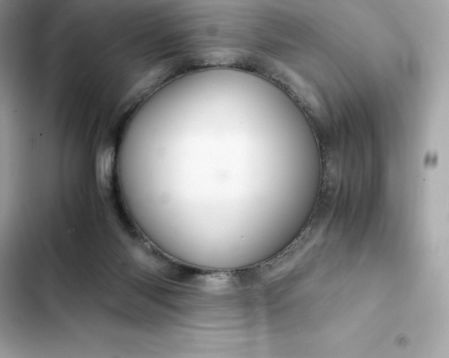 X0000102380118200808151906