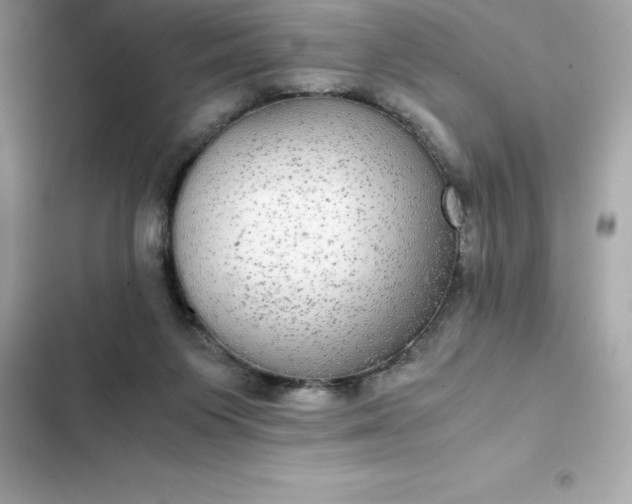 X0000102380119200808151906