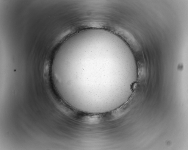 X0000102380120200808151906