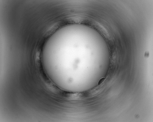 X0000102380122200808151906