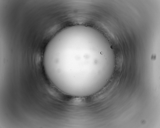 X0000102380126200808151906