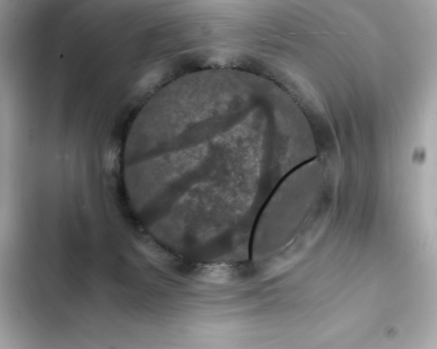 X0000102380127200808151906