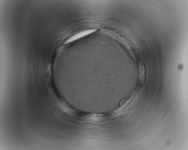 X0000102380128200808151906