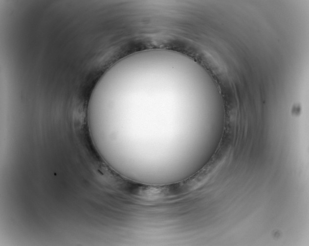 X0000102380129200808151906