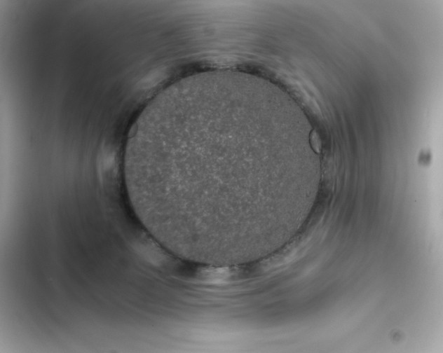 X0000102380131200808151906