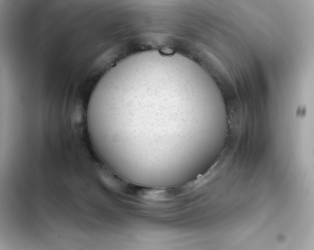 X0000102380132200808151906