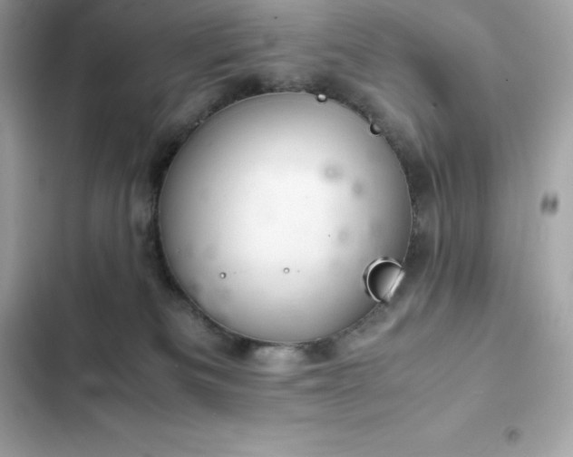 X0000102380133200808151906