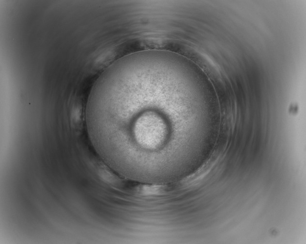 X0000102380134200808151906