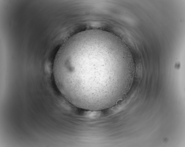 X0000102380135200808151906