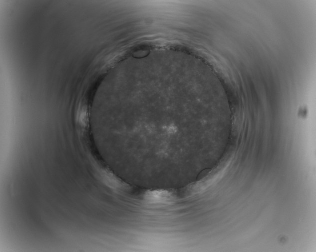 X0000102380137200808151906