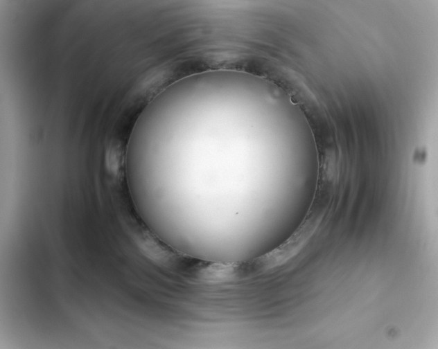 X0000102380138200808151906