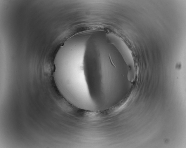 X0000102380139200808151906