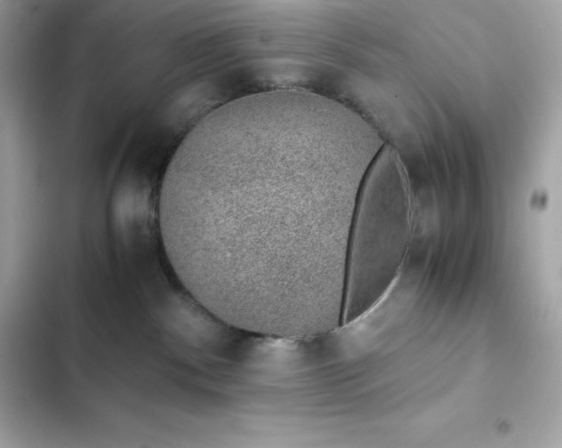 X0000102380140200808151906