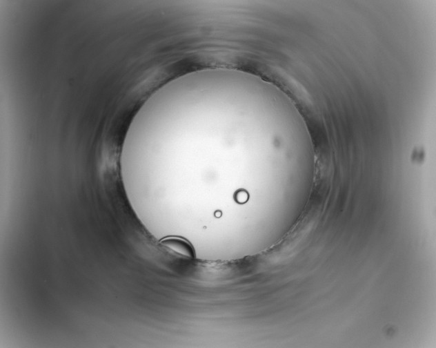 X0000102380141200808151906