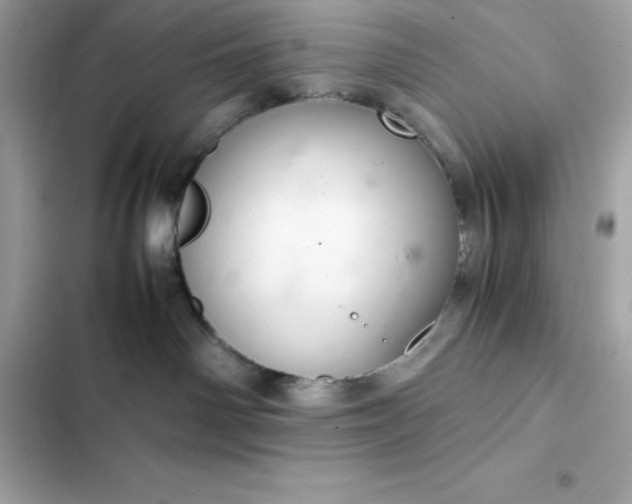 X0000102380142200808151906