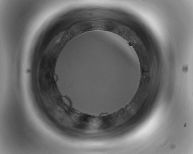 X0000102380143200808151906