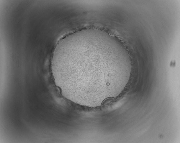 X0000102380144200808151906