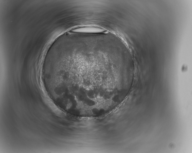 X0000102380145200808151905