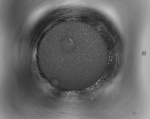 X0000102380146200808151905