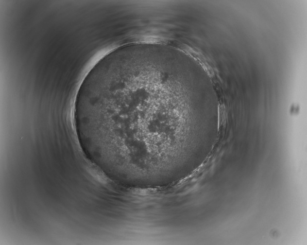 X0000102380147200808151905