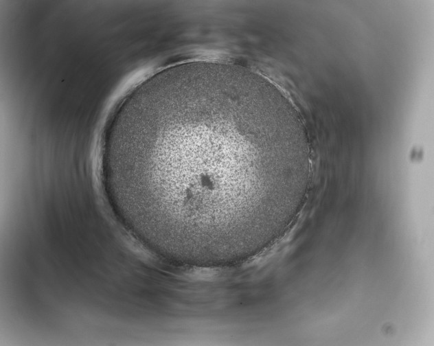 X0000102380149200808151905