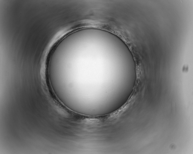 X0000102380150200808151905