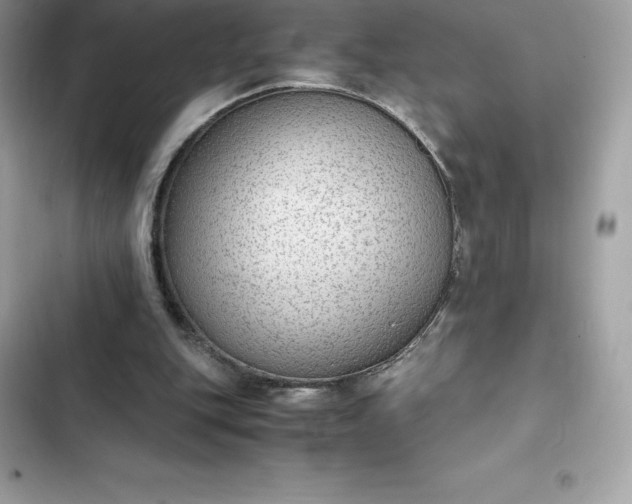 X0000102380151200808151905