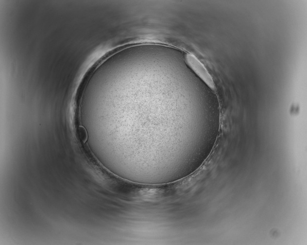 X0000102380152200808151905