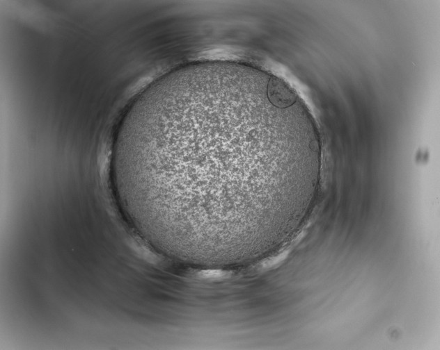 X0000102380153200808151905