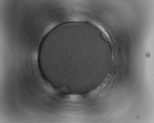 X0000102380154200808151905