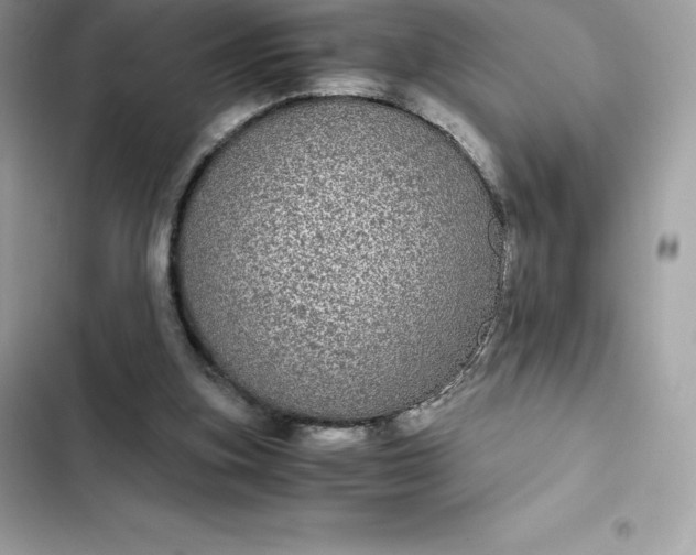 X0000102380155200808151905