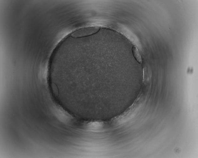 X0000102380156200808151905