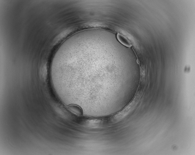 X0000102380158200808151905