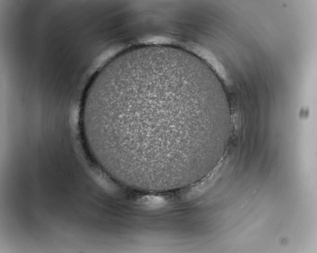 X0000102380159200808151905