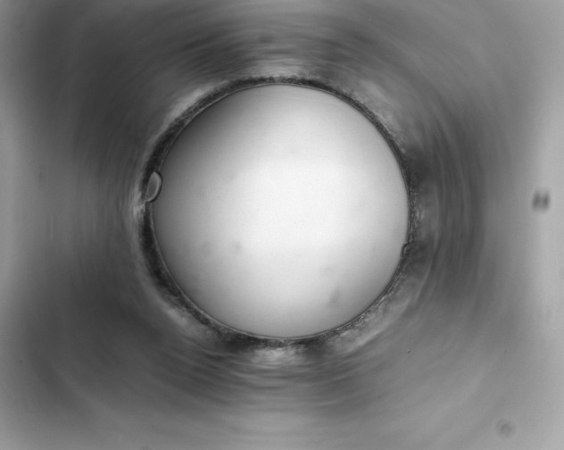 X0000102380160200808151905