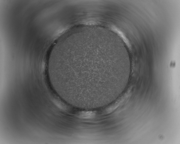 X0000102380161200808151905