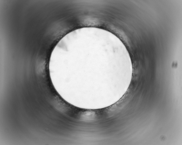 X0000102380162200808151905