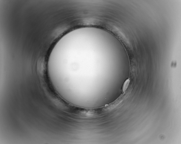 X0000102380164200808151905