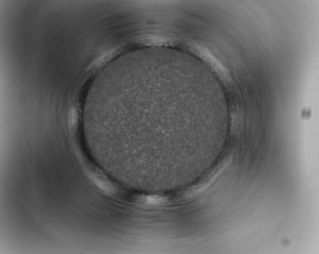 X0000102380165200808151905