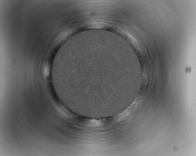 X0000102380166200808151905