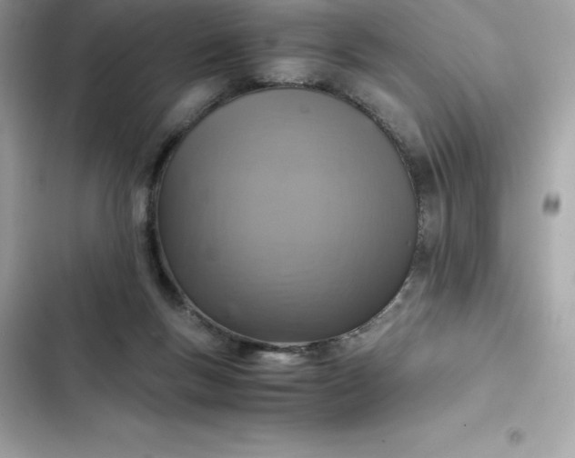 X0000102380167200808151905