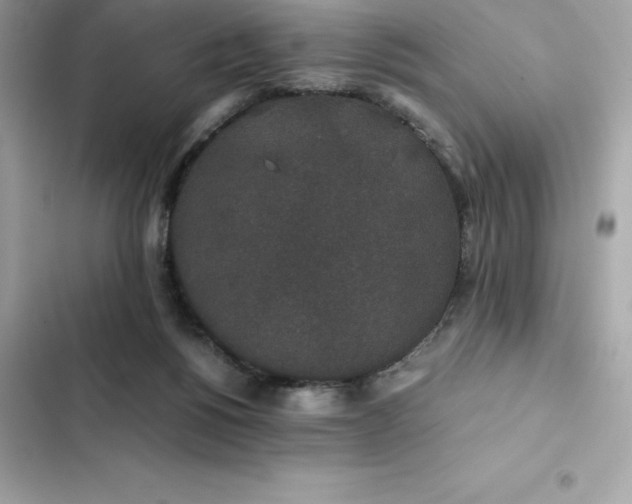 X0000102380168200808151905