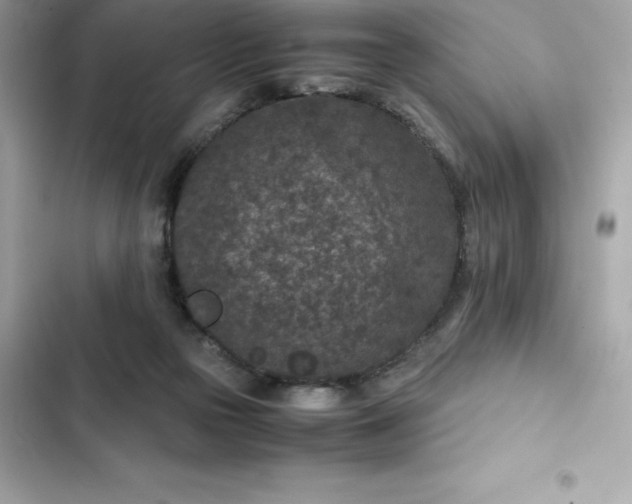 X0000102380169200808151905