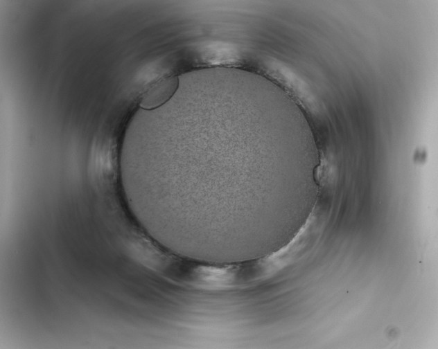 X0000102380170200808151905