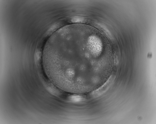 X0000102380171200808151905