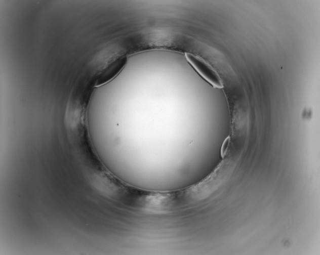 X0000102380172200808151905