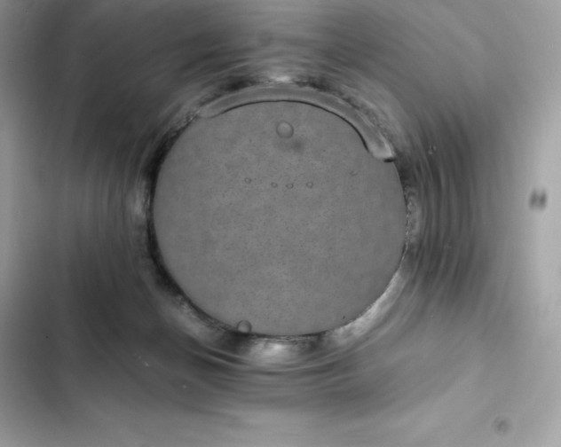 X0000102380174200808151905