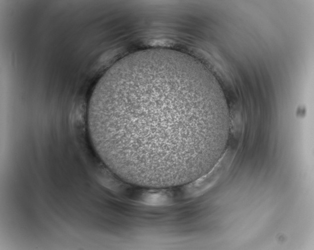 X0000102380175200808151905